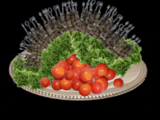 Veloks Varna - Catering
