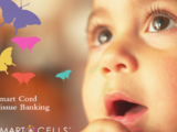 Smart Cells International