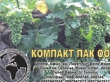 Компакт Пак ООД