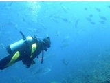Aquanaut Ltd