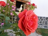 Почивка на село /Selo359.com