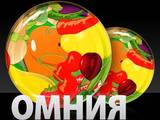 Алианс-ДН ООД