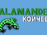 Саламандър-Койчеви ООД
