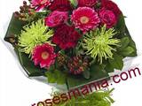 Www.rosesmania.com