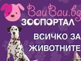 Инсърт.бг