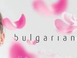 Vega Consult Ltd