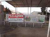 ЕТ "Методи Попов - Златолист" Разсадник Петрич