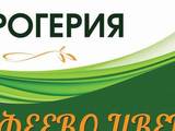 Натови2015" ЕООД