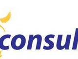 Solar Five Consulting