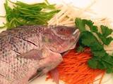Tilapia Fish Company