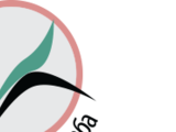 Лежанки БГ