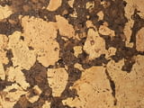 Корк за стена, корк за стени, стенен корк, стенна облицовка, стенни облицовки, коркоркови плоскости