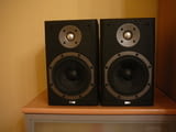 B&w dm 303