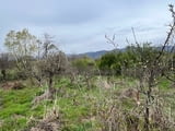 Невероятен Парцел 251 кв.м във Вилната Зона на Казанлък и Енина "Старите Лозя"