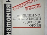 Анатомия на илюзията - Цветана Хубенова