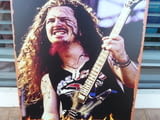 Метална табела музика Pantera Dimebag Darrell метъл китара китарист на живо концерт
